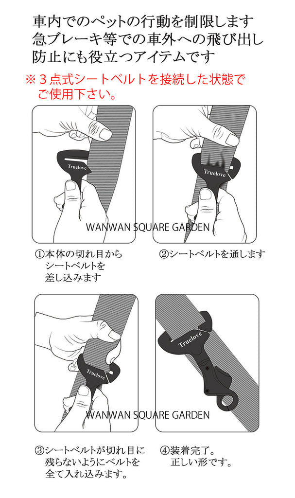 犬飛び出し防止
