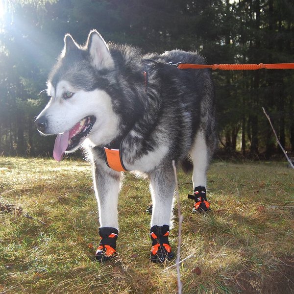 犬靴犬靴犬の靴プロテクションシューズソフト保護防水スポーツ介護足怪我シニアケア小型犬大型犬メール便送料無料2個セット