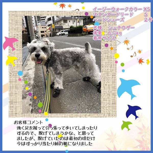 犬靴犬靴犬の靴ドッグシューズシューズハードTrueloveブランド防水スポーツ介護足怪我シニアケア小型犬中型犬大型犬