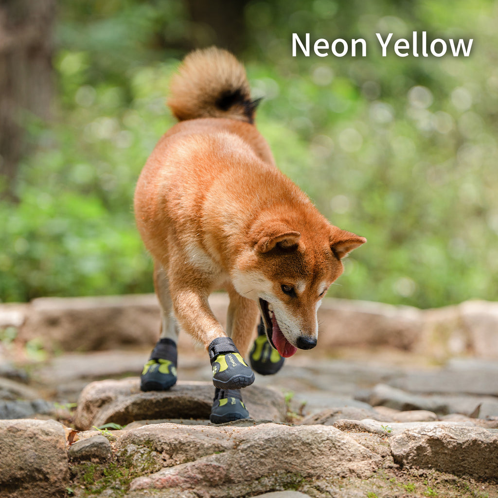 犬靴犬の靴ドッグシューズTLS3961着用例