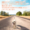 犬用靴ドッグシューズ小型犬大型犬用Trueloveブランドソフトシェルメッシュスポーツ散歩介護足怪我シニアケアHDメッシュシューズ