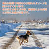 犬用靴ドッグシューズ小型犬大型犬用Trueloveブランドソフトシェル防水スポーツ散歩雪ウィンタースポーツ介護足怪我シニアケアNewHDシューズ