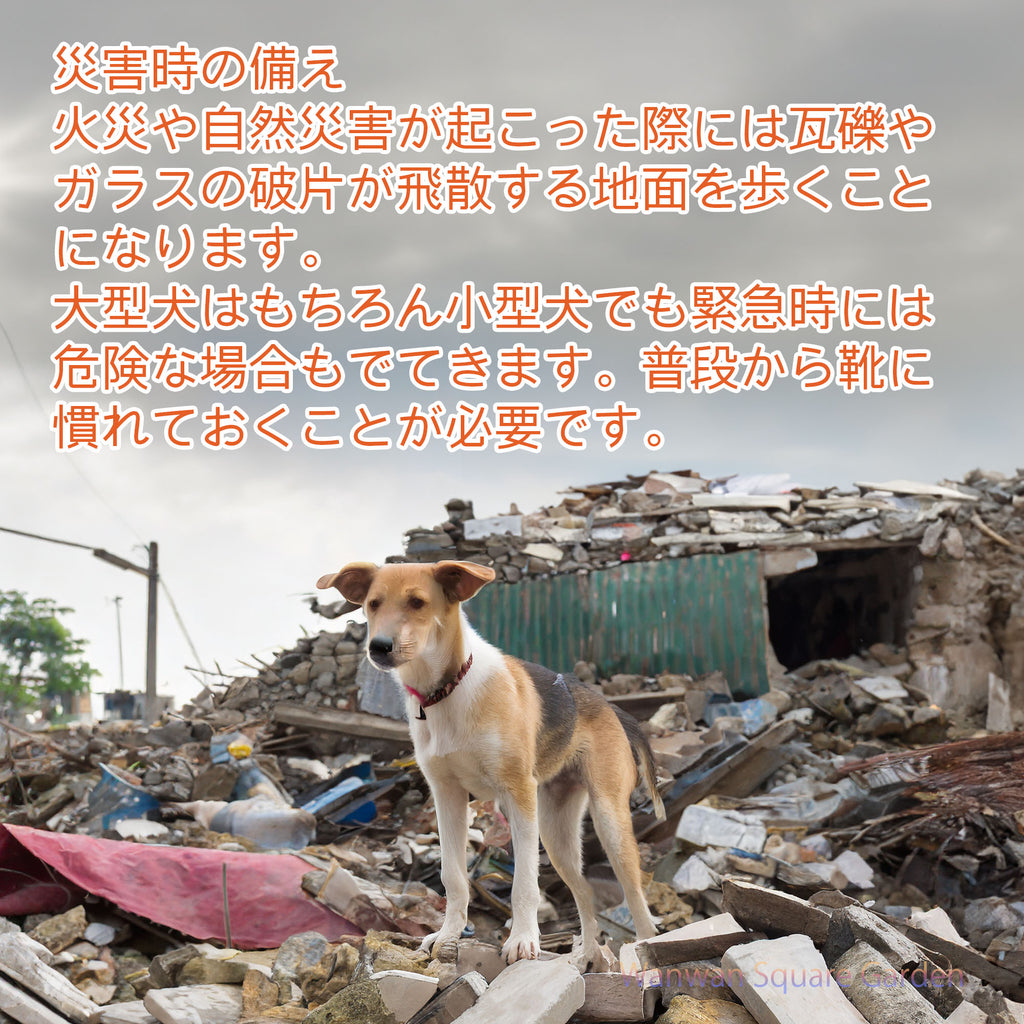 犬用靴ドッグシューズ小型犬大型犬用Trueloveブランドソフトシェル防水スポーツ散歩雪ウィンタースポーツ介護足怪我シニアケアNewHDシューズ