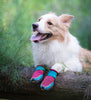 犬用靴 ドッグシューズ Vibramソール TLS4862 着用例