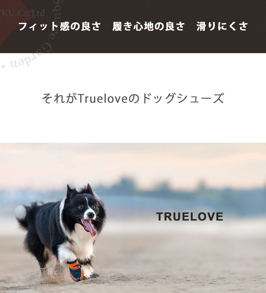 犬用靴 ドッグシューズ Vibramソール TLS4862 屋外使用