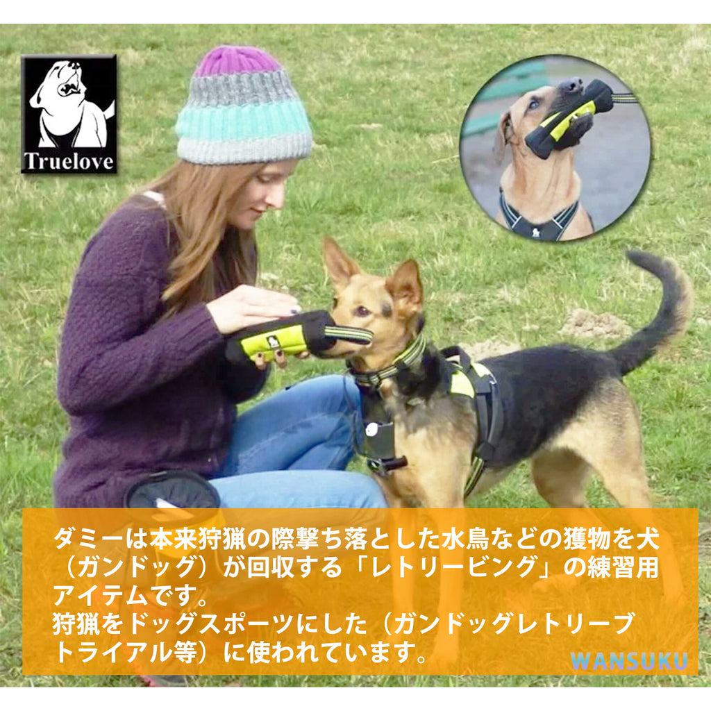 犬用おもちゃTrueloveブランド投げて引っ張る遊ぶアウトドア用品楽しい丈夫携帯フードケースレトリービングスナックダミーSNACKBAG