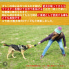 犬用おもちゃTrueloveブランド投げて引っ張る遊ぶアウトドア用品楽しい丈夫携帯フードケースレトリービングスナックダミーSNACKBAG