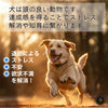 犬用おもちゃ鳥Trueloveブランド天然ゴムストレス発散知育欲求不満遊ぶごほうび楽しいDogToyペンギン型