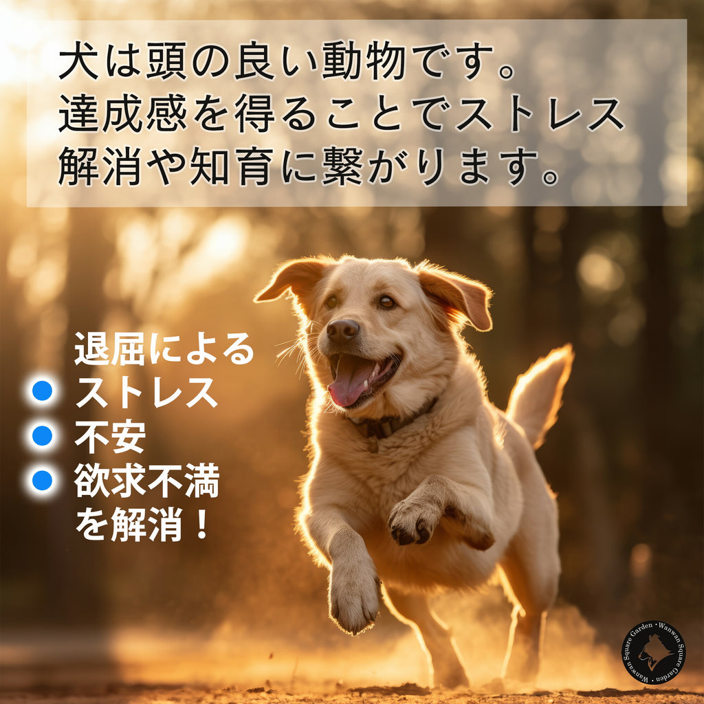 犬用おもちゃ鳥Trueloveブランド天然ゴムストレス発散知育欲求不満遊ぶごほうび楽しいDogToyペンギン型