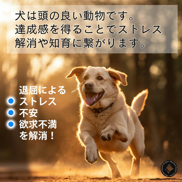 犬用おもちゃ鳥Trueloveブランド天然ゴムストレス発散知育欲求不満遊ぶごほうび楽しいDogToyペンギン型