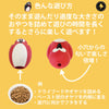 犬用おもちゃ鳥Trueloveブランド天然ゴムストレス発散知育欲求不満遊ぶごほうび楽しいDogToyペンギン型