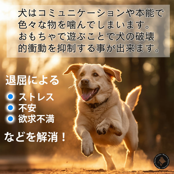 犬用おもちゃ骨Trueloveブランド天然ゴムストレス発散しつけ欲求不満遊ぶごほうび楽しいDogToyボーン型