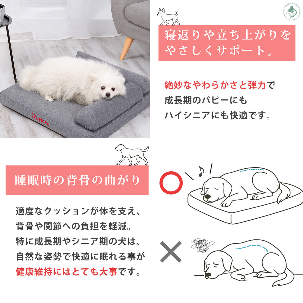 低反発ローベッドで寝返りしやすく立ち上がりも快適健康維持におすすめペット用ベッド