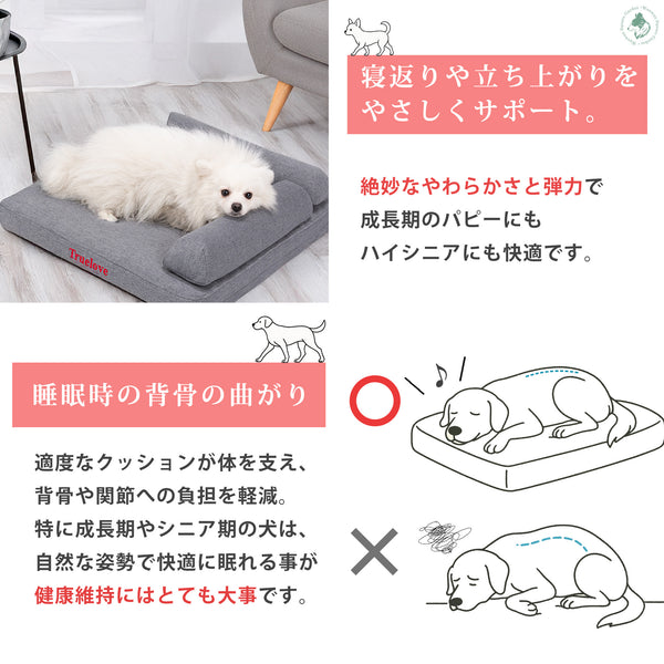 低反発ローベッドで寝返りしやすく立ち上がりも快適健康維持におすすめペット用ベッド