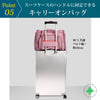 ペットキャリーボストンバッグ