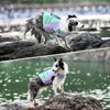 犬ライフジャケット小型犬中型件大型犬高品質TL-GEAR