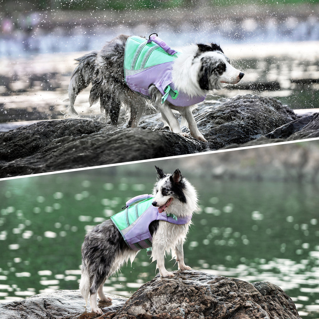 犬ライフジャケット小型犬中型件大型犬高品質TL-GEAR