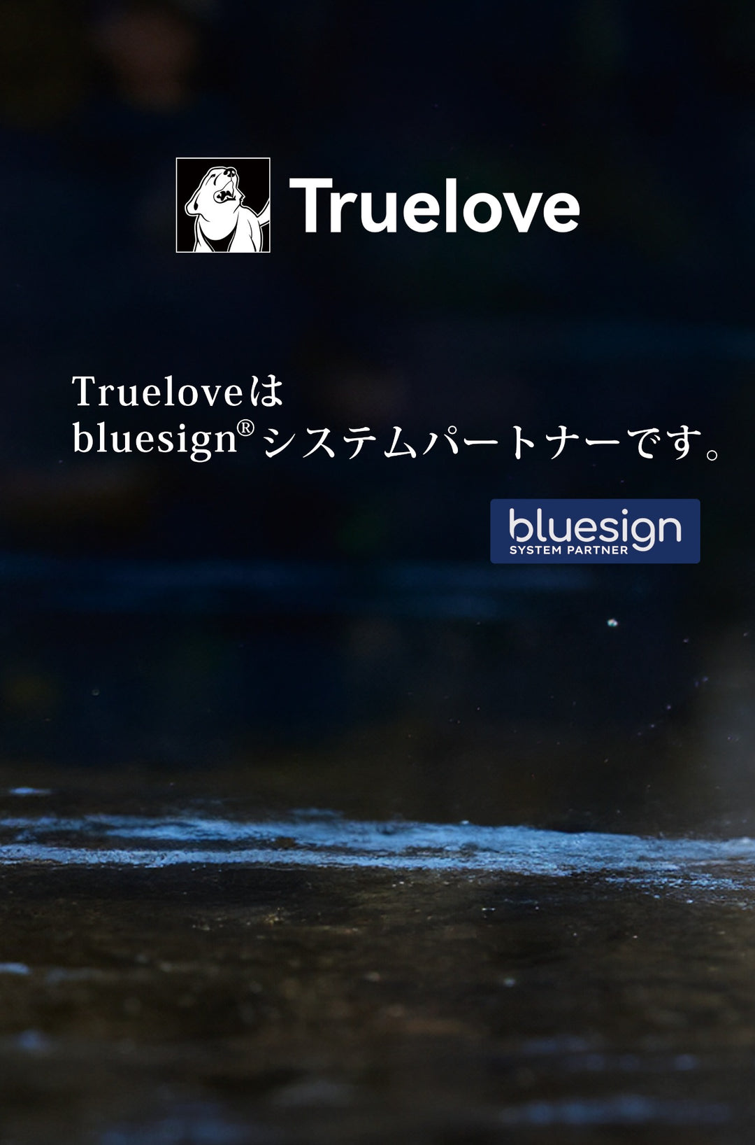 Trueloveはbluesignシステムパートナーです