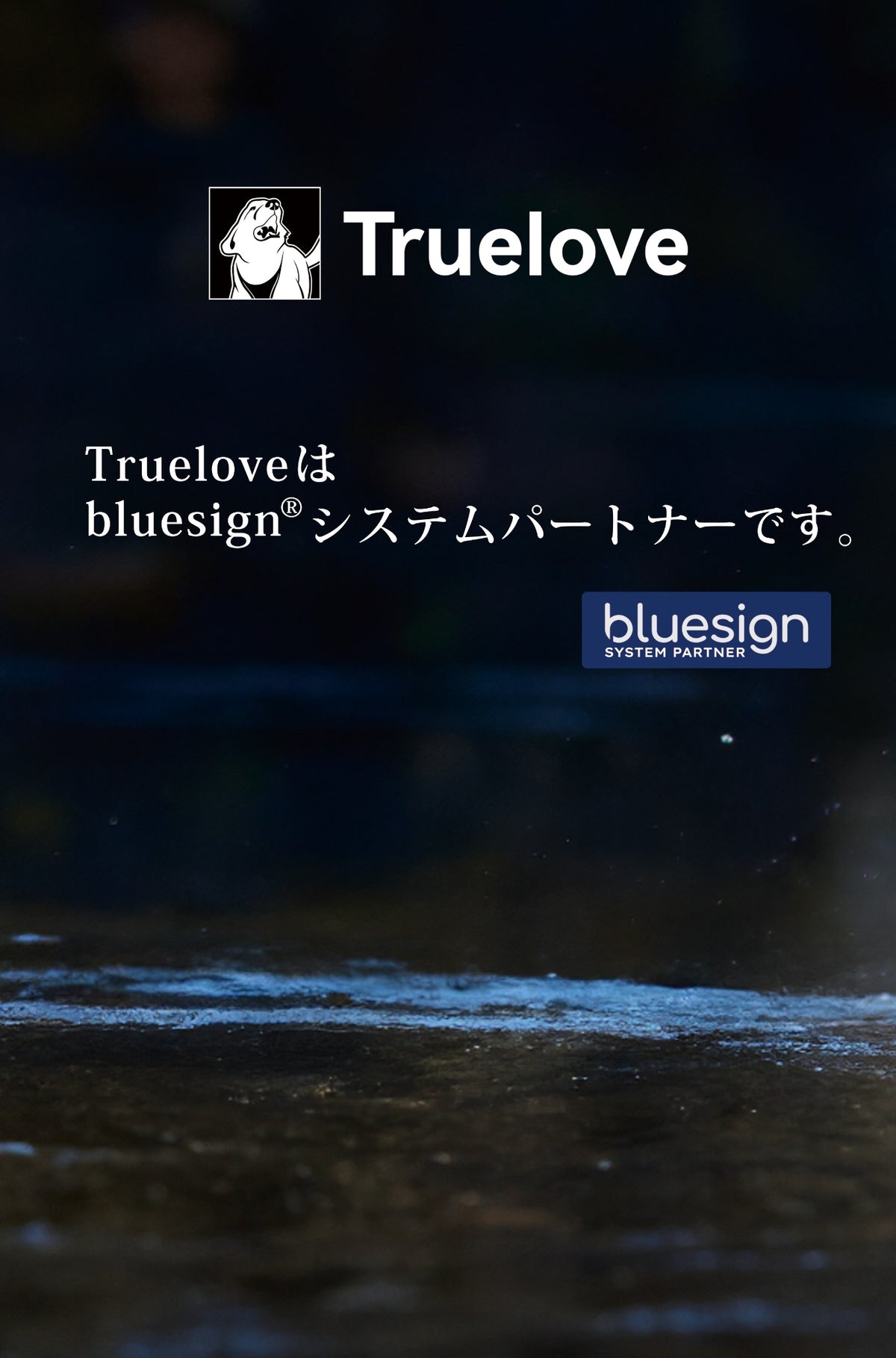 Trueloveはbluesignシステムパートナーです