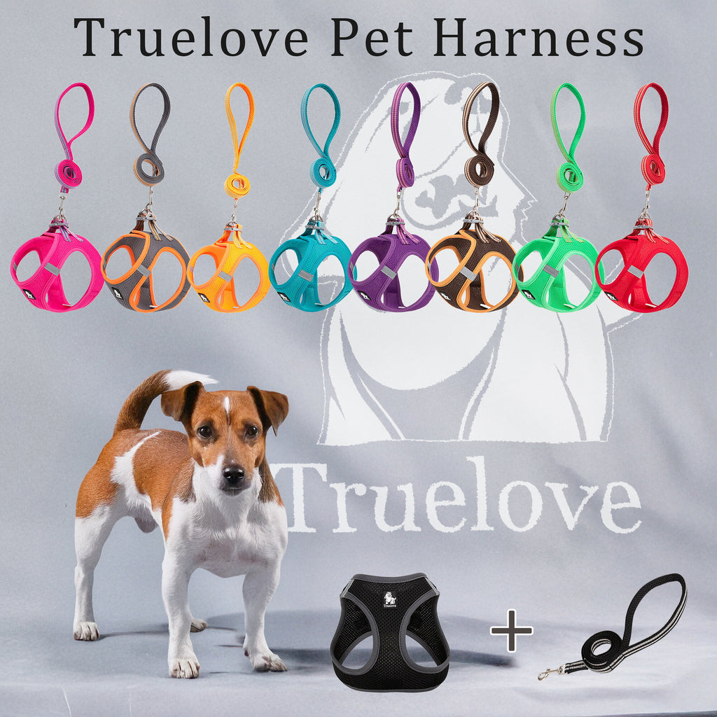 Trueloveペットハーネス＆リードセット小型犬・猫用頭を通さず前足を入れるだけで簡単装着軽量ナイロンと通気性メッシュで快適散歩時の負担を軽減し首に直接負荷がかからない設計全10色から選べる高品質ハーネス