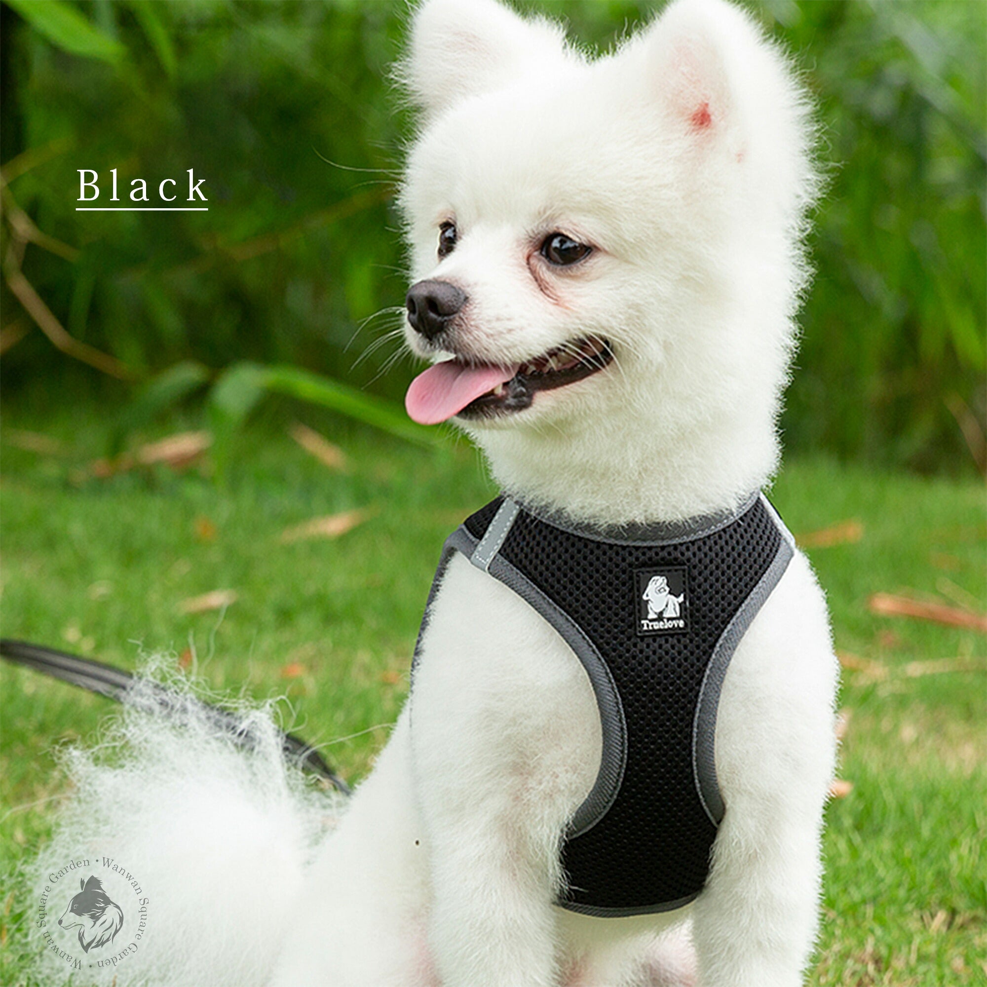 軽量で柔らかいフィット感小型犬・猫の負担を抑えた快適ハーネス＆リード