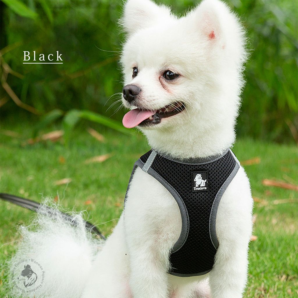 軽量で柔らかいフィット感小型犬・猫の負担を抑えた快適ハーネス＆リード
