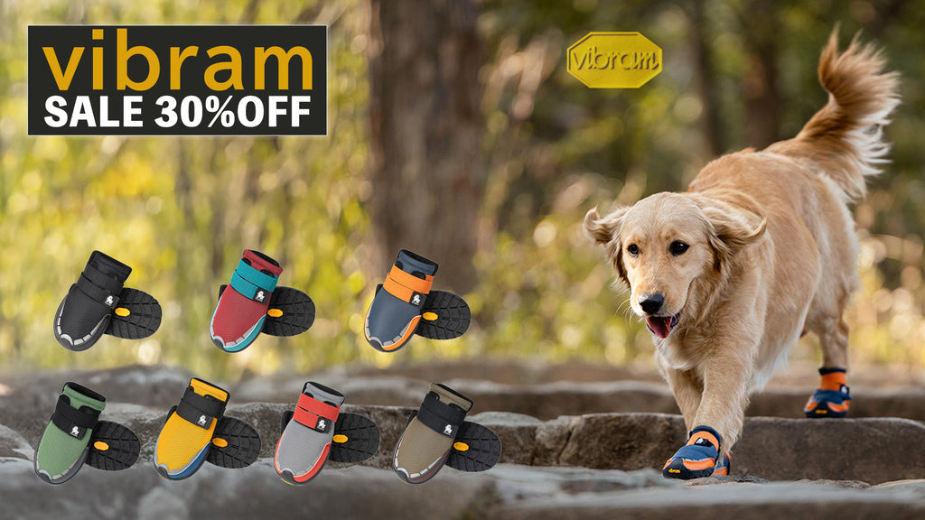 vibram sole dog shoes